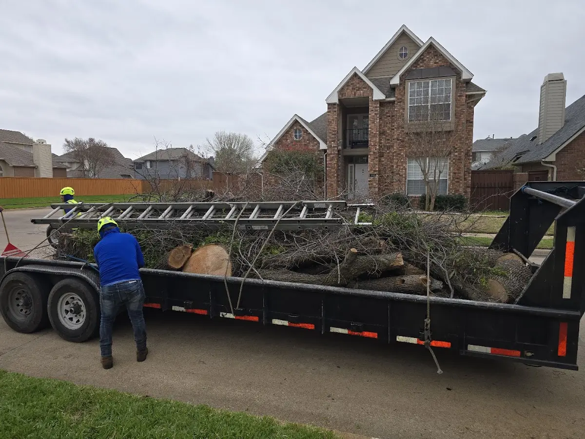 Expert Lot Clearing with proper safety equipment in Delaware